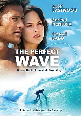 The perfect wave : a surfer's glimpse into eternity