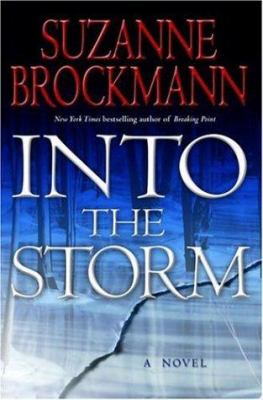 Into the Storm: a novel