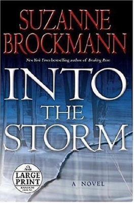 Into the Storm : a novel