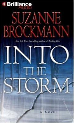 Into the Storm: a novel