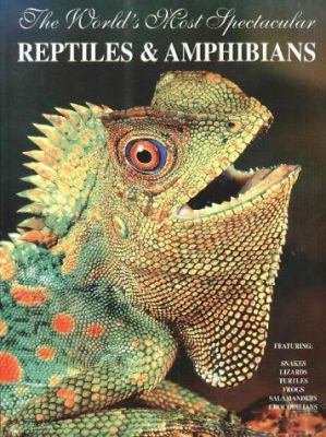 The world's most spectacular reptiles & amphibians