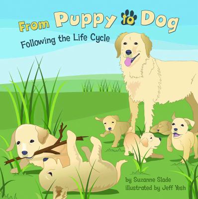 From puppy to dog : following the life cycle