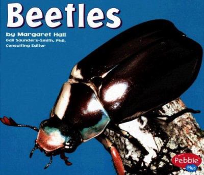 Beetles