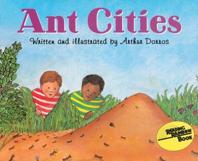 Ant cities