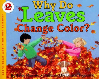 Why do leaves change color?