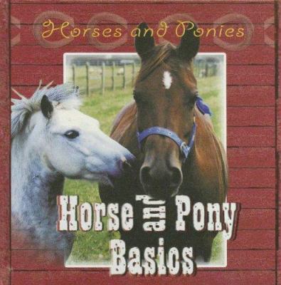 Horse and pony basics