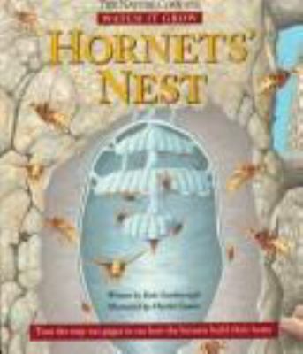 Hornets' nest