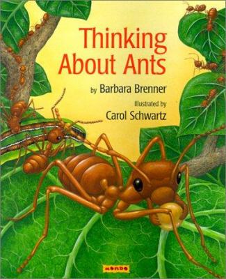 Thinking about ants