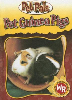 Pet guinea pigs