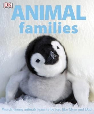 Animal families