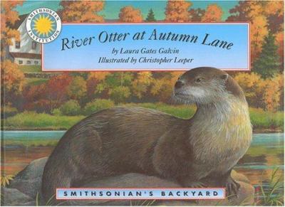 River Otter at Autumn Lane