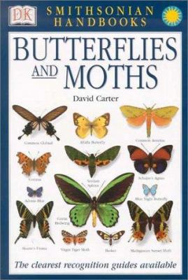 Butterflies and moths