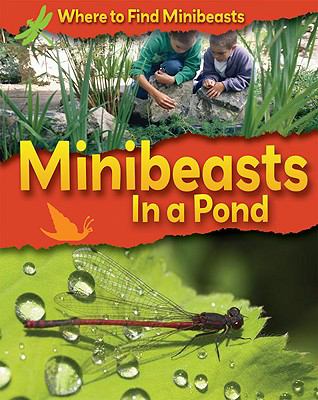 Minibeasts in a pond