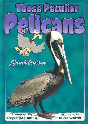 Those peculiar pelicans