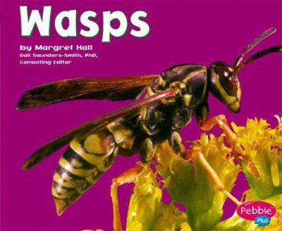 Wasps