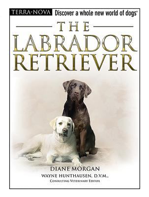 The labrador retriever