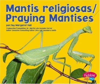 Mantis religiosa = Praying mantises