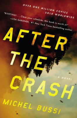 After the crash : a novel