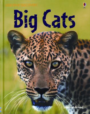 Big cats ;