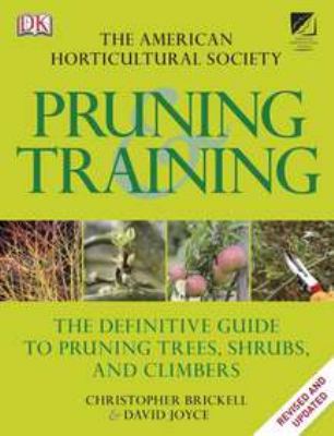 Pruning & training