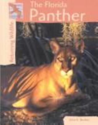 The Florida panther