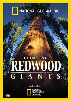 Climbing redwood giants